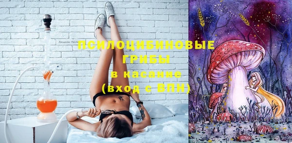 2c-b Михайловка